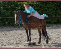 1-13JUIN 1119